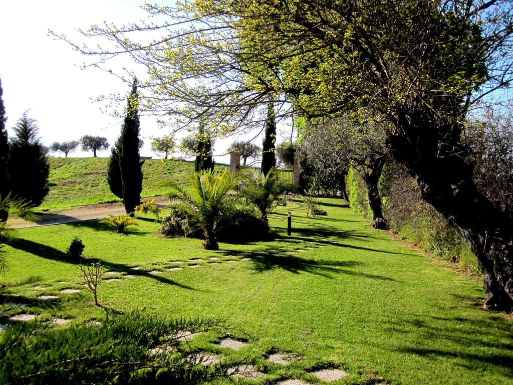 Agriturismo Tenuta Santa Maria Notaresco Экстерьер фото