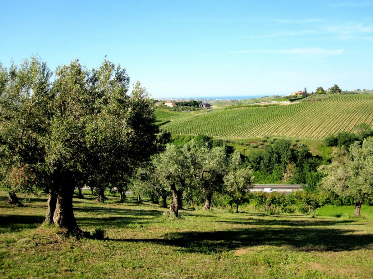 Agriturismo Tenuta Santa Maria Notaresco Экстерьер фото